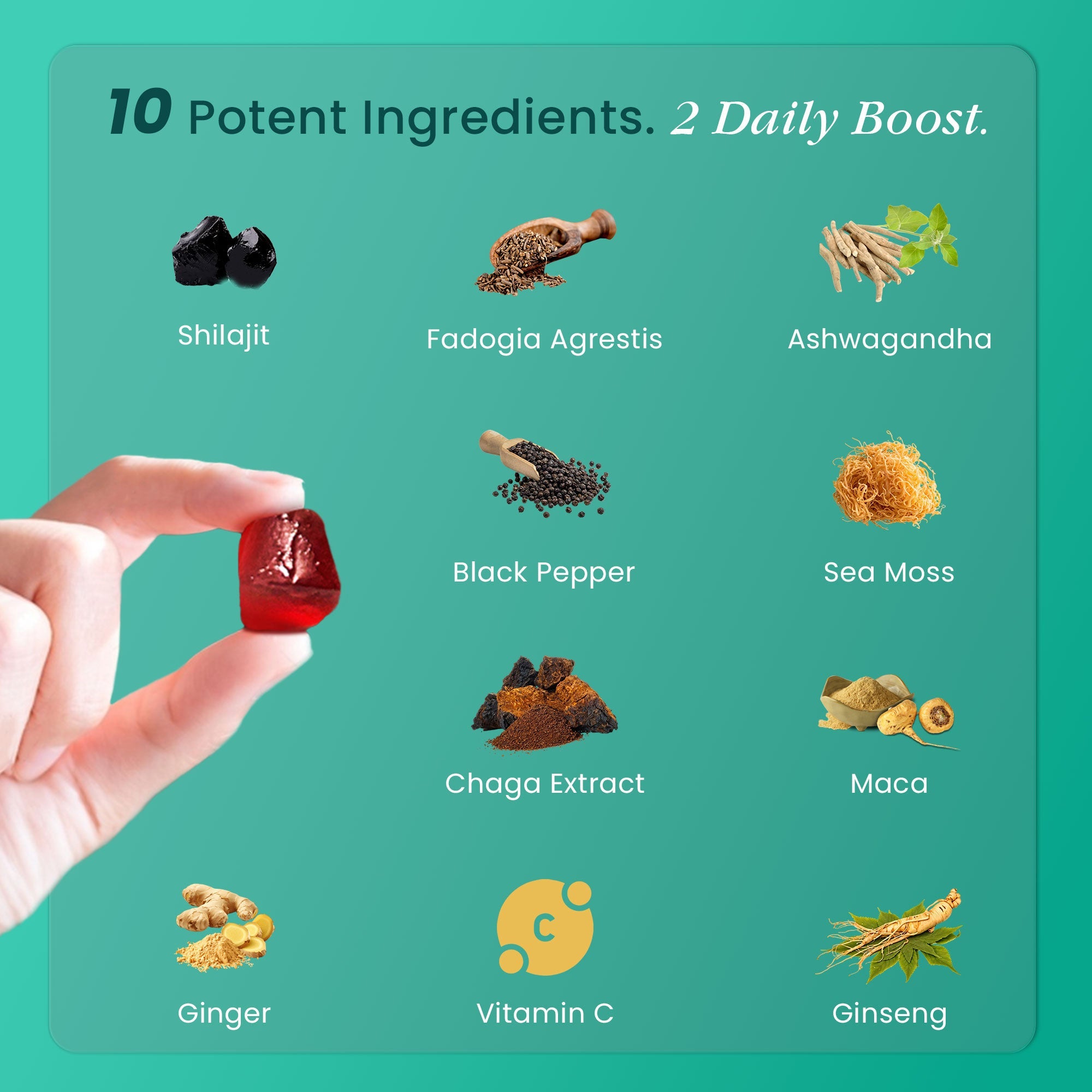 Himalayan Shilajit Gummies – 60 Gummies | 3000mg RHE per Serving | Herbal Wellness Blend with Natural Cherry Flavor