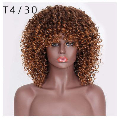 Curly Long High Temperature Wire Wig