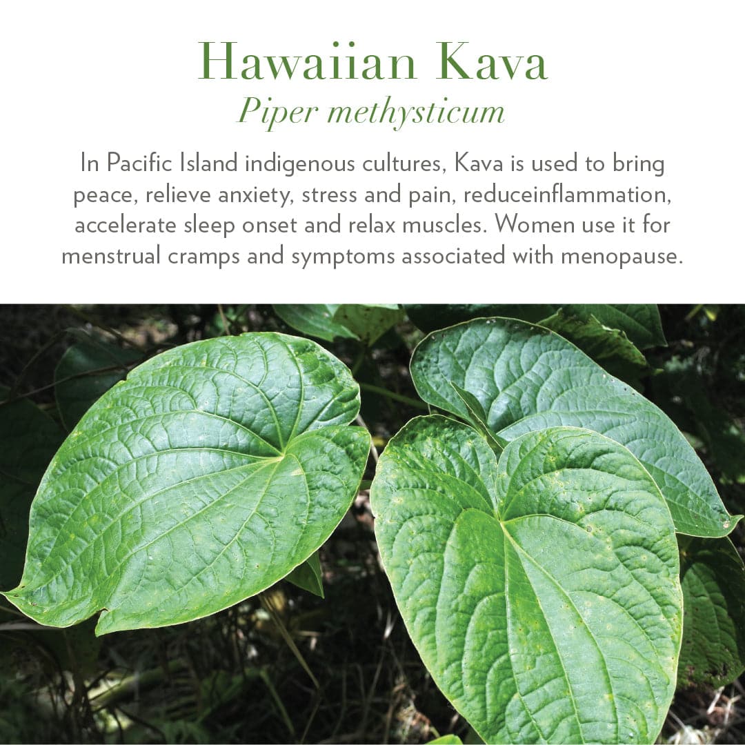 Ease: Hawaiian Kava Gummies by Rosebud Woman