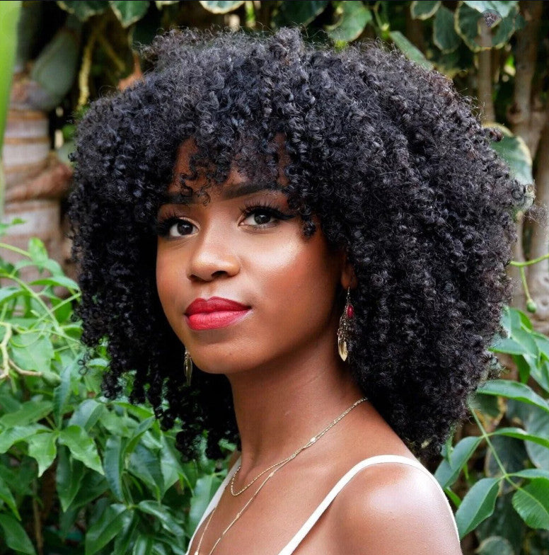 Short Curly African Wig