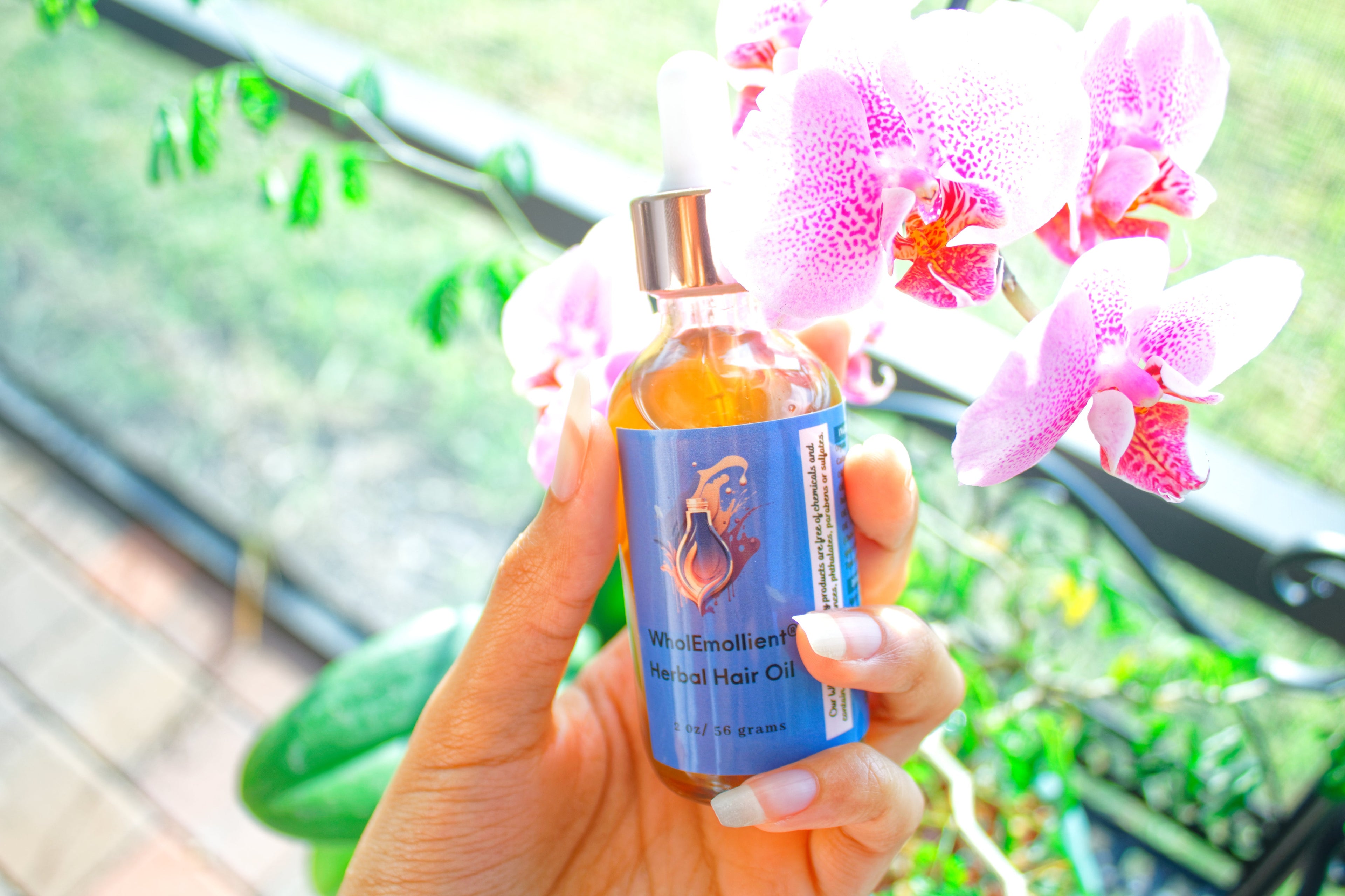 Qasil & Chebe Hair Growth Oil – Herbal Hair Oil for Textured, Curly, and Black Hair